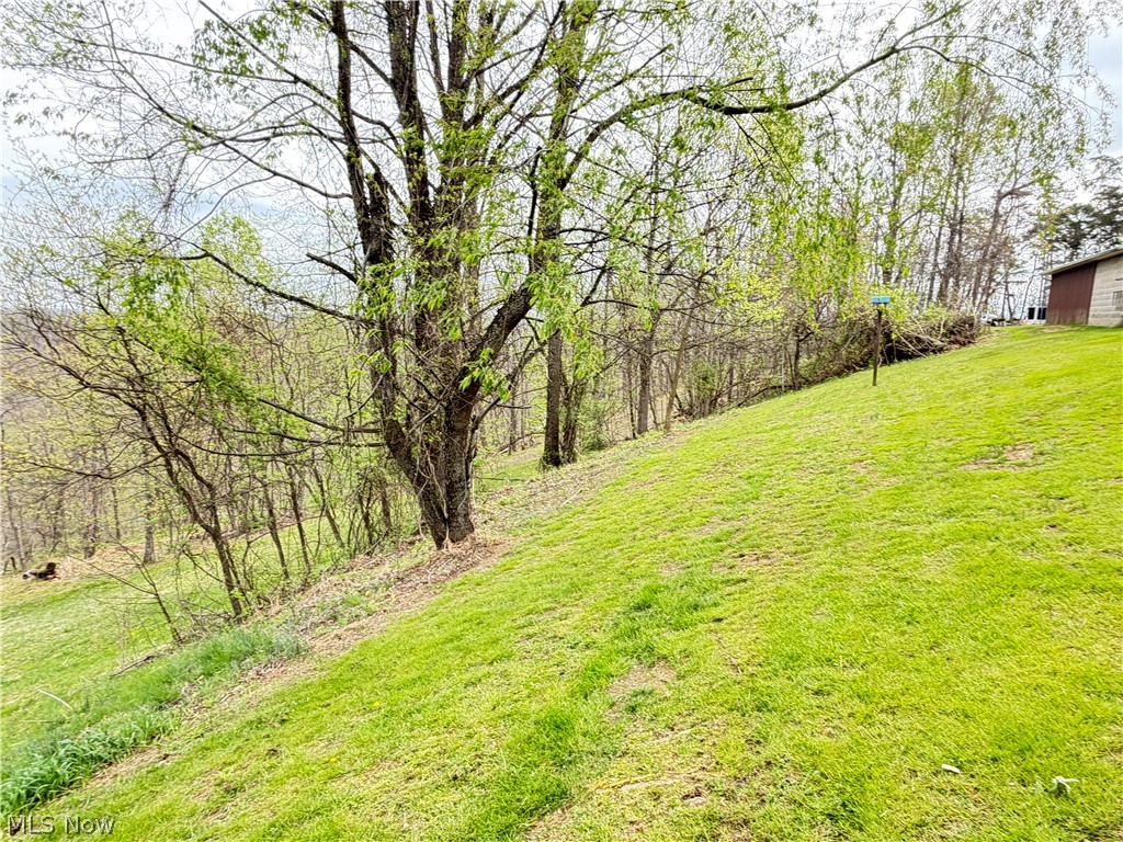 441 Tower Road Elizabeth, WV 26143 - Photo 8 of 28