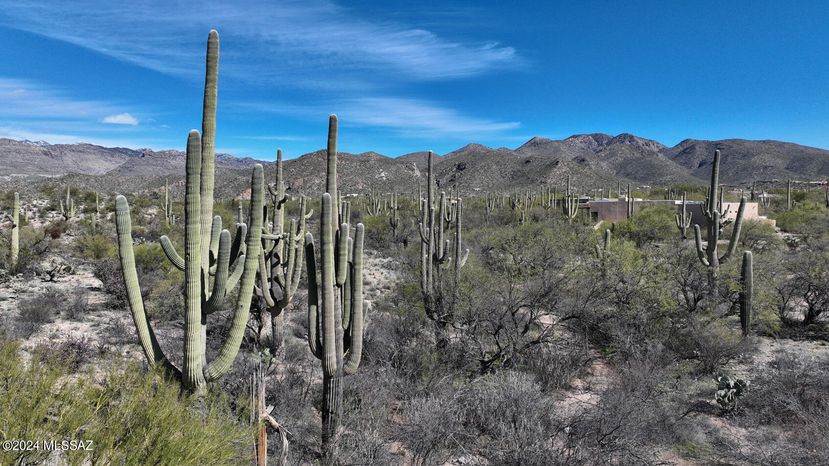 12555 East Fort Lowell Road Tucson, AZ 85749 - Photo 5 of 24 Gallery Image 5