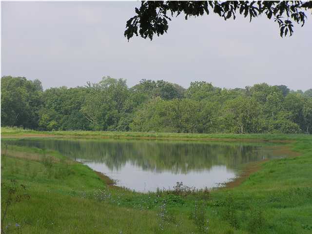 4 Hebron Road, Unit TR 4 Shelbyville, KY 40065 - Photo 1 of 3 Primary Photo