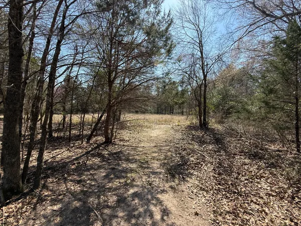 $255,000 | 445 St Fairfield Tx 75840, Fairfield, TX 75840