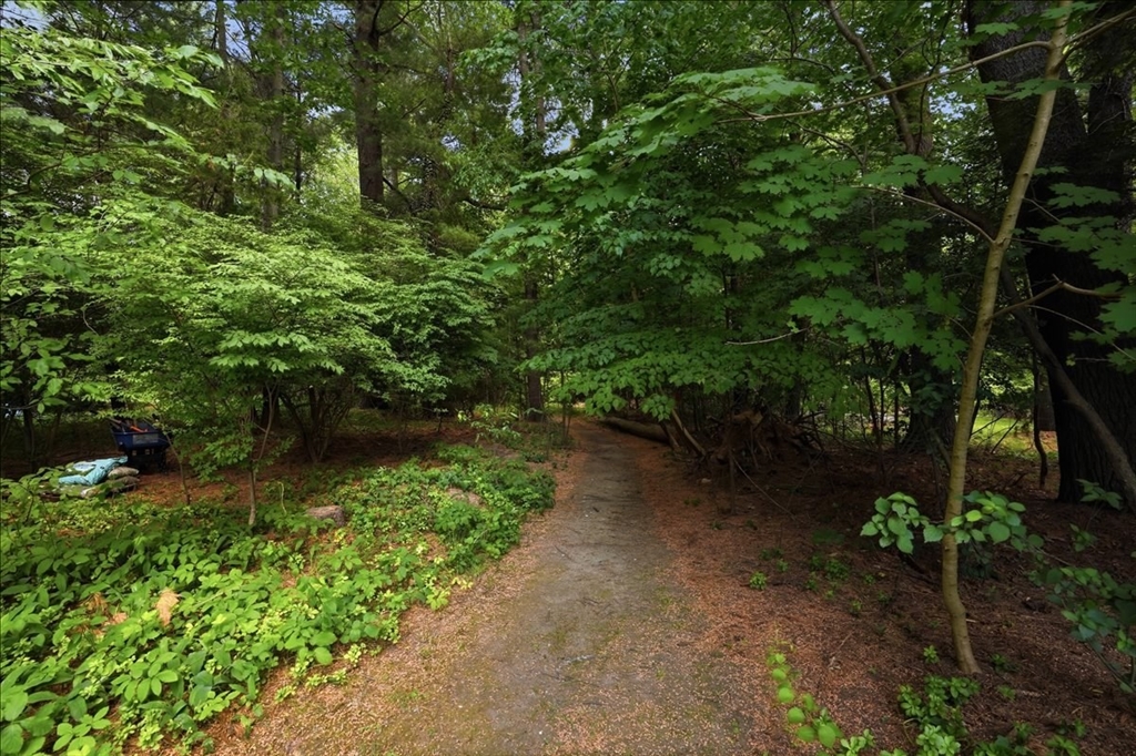 7 Amber Road Hingham, MA 02043 - Photo 39 of 39