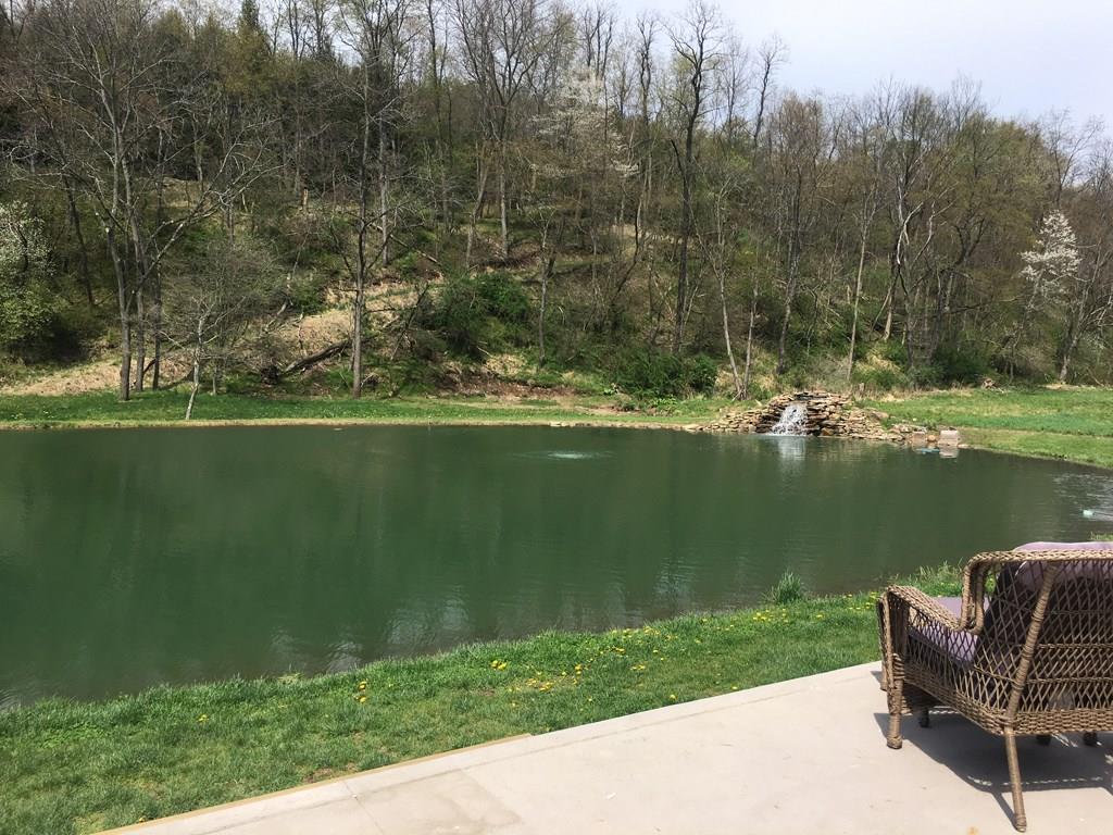 805 North Ridge Road Shelocta, PA 15774 - Photo 11 of 19 Pond with Waterfall