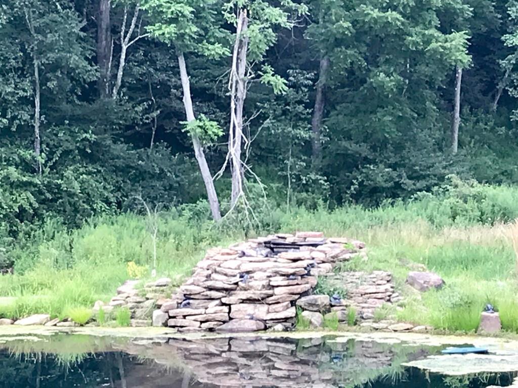 805 North Ridge Road Shelocta, PA 15774 - Photo 12 of 19 Waterfall