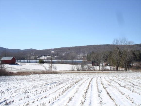 Tinmouth Road Danby, VT 05739 - Photo 1 of 1 Gallery Image 1