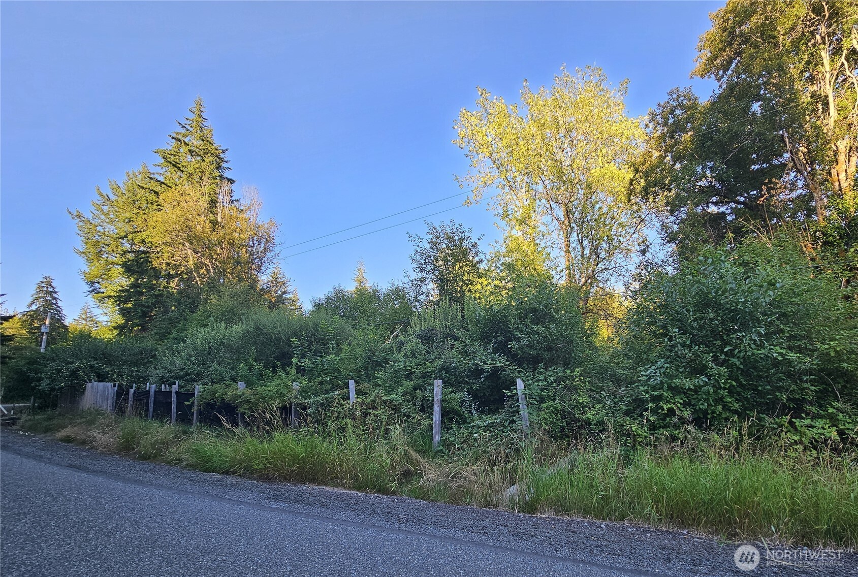 236 Porter Creek Road Elma, WA 98541 - Photo 1 of 24 Gallery Image 1