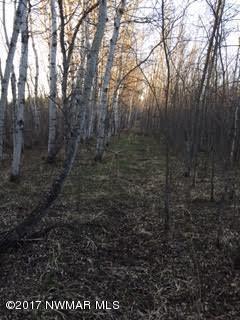 Northwest Malcolm Road Northwest Grygla, MN 56727 - Photo 1 of 1 Gallery Image 1