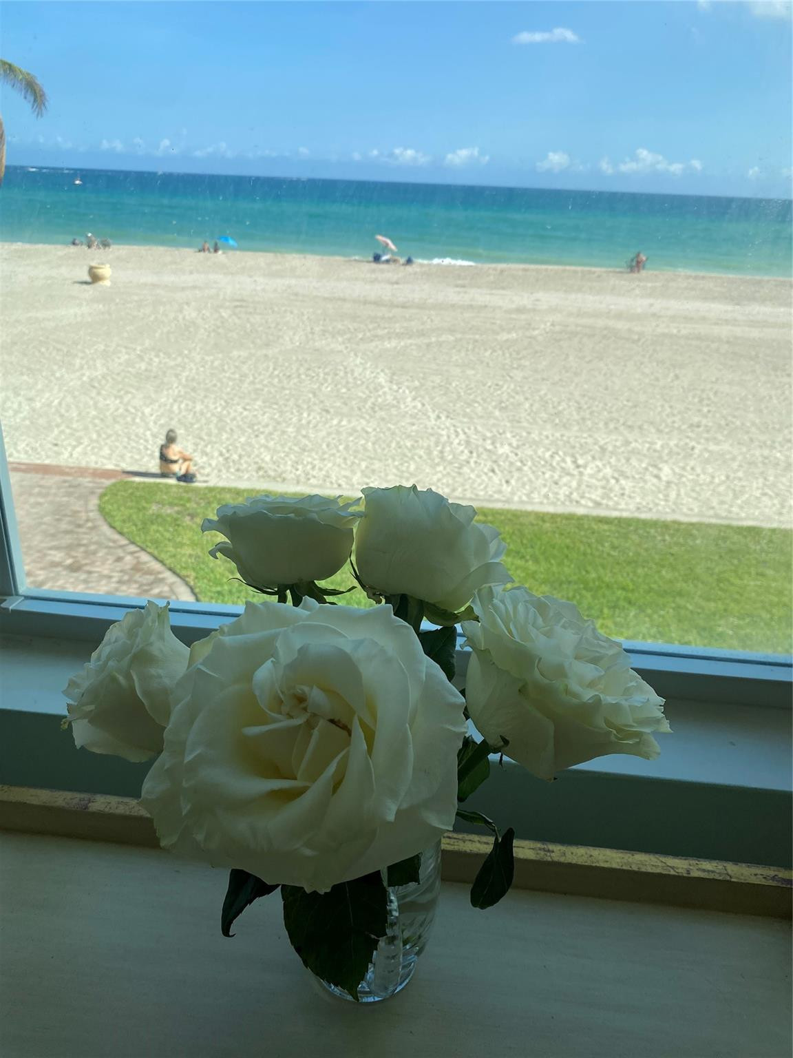 1801 South Surf Road, Unit 2C Hollywood, FL 33019 - Photo 11 of 11 Photo 12