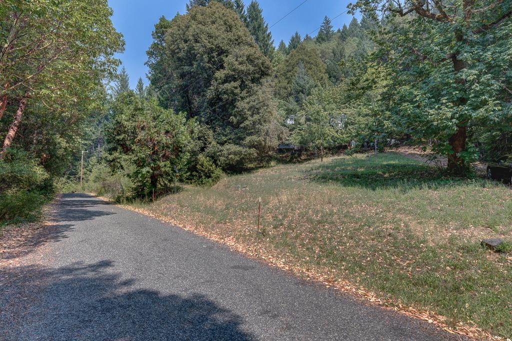 121 Thompson Creek Road Selma, OR 97538 - Photo 2 of 9 Additional Photo