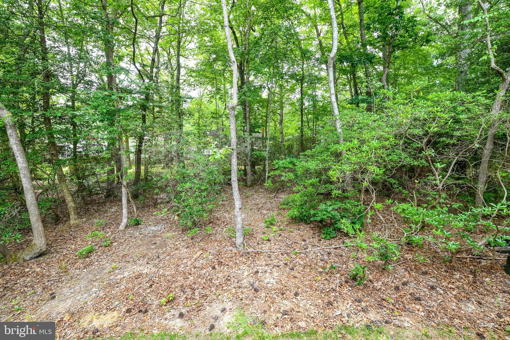 11 Rabbit Run Lane Berlin, MD 21811 - Photo 36 of 36