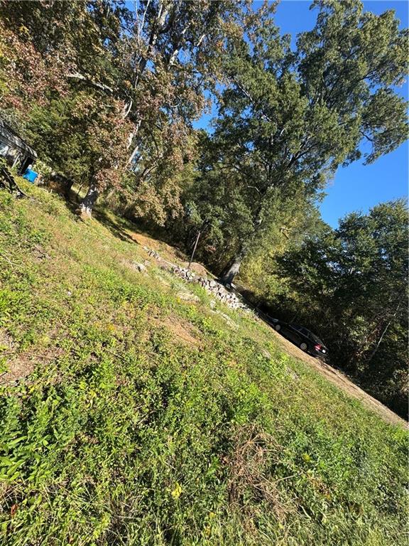 13 Robin Road Austell, GA 30168 - Photo 5 of 10 a view of a field with plants and large trees