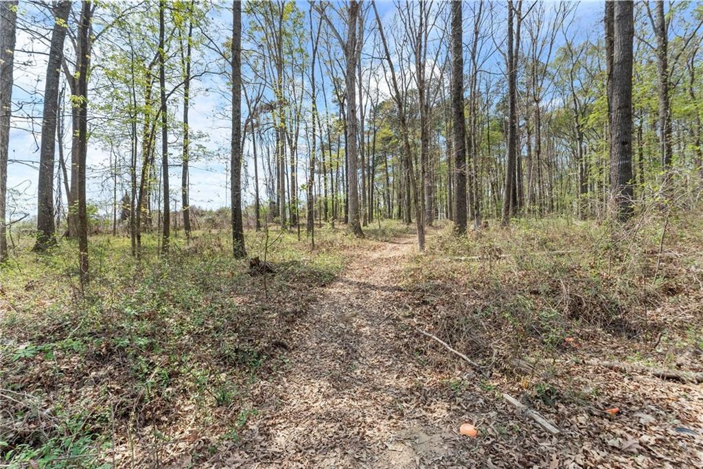 970 GA Highway 211 Winder, GA 30680 - Photo 51 of 60 a view of trees with trees in the background