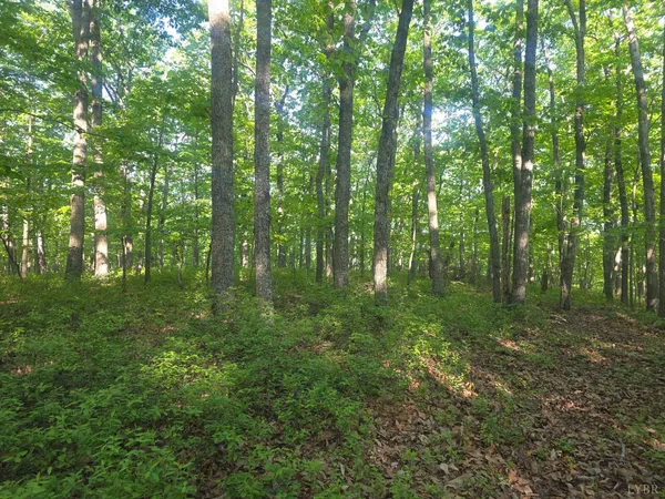 $119,900 | 0 NightHawk Road, Lynchburg, VA 24504