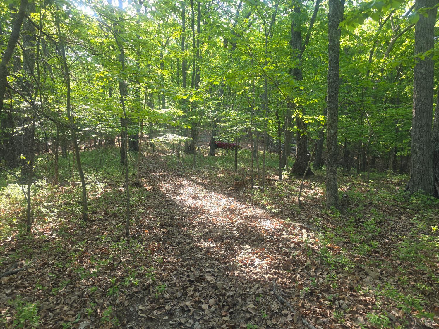 0 NightHawk Road Lynchburg, VA 24504 - Photo 2 of 6 a lake view with green space
