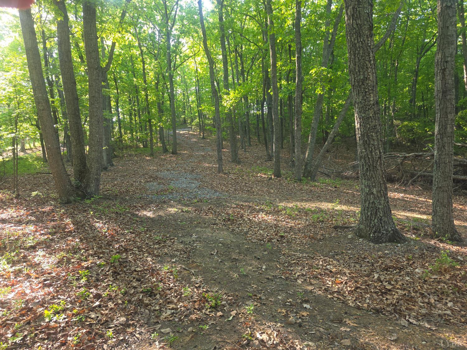 0 NightHawk Road Lynchburg, VA 24504 - Photo 4 of 6 a view of a forest with trees in the background