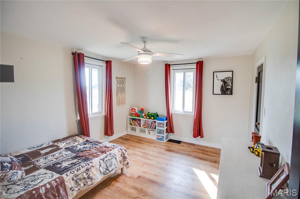 115 Schoeneman Road Shipman, IL 62685 - Photo 41 of 80 Gallery Image 41