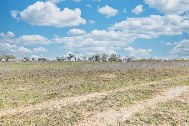 a view of a yard with an trees
