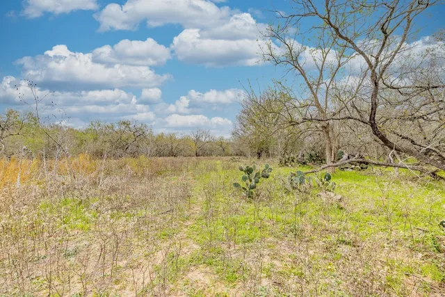 a fire hydrant in the middle of a field