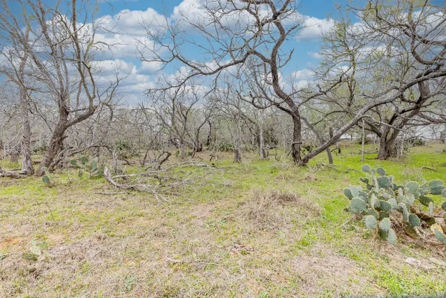 a view of yard with swimming pool