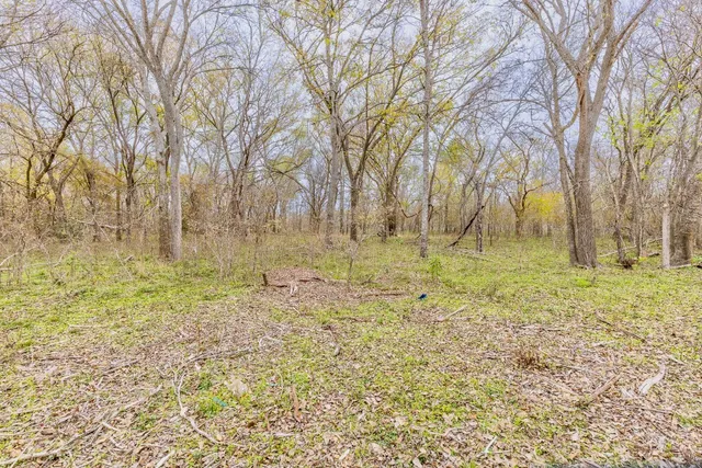 a backyard of apartments with large trees