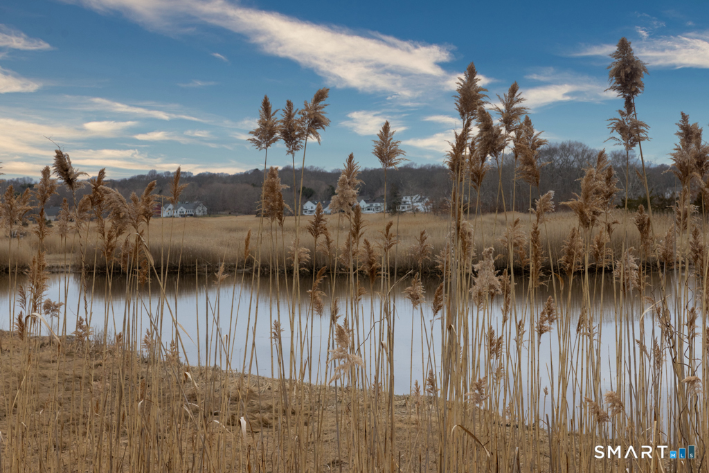 10 Runnymede Lane, Unit 10 Madison, CT 06443 - Photo 27 of 30