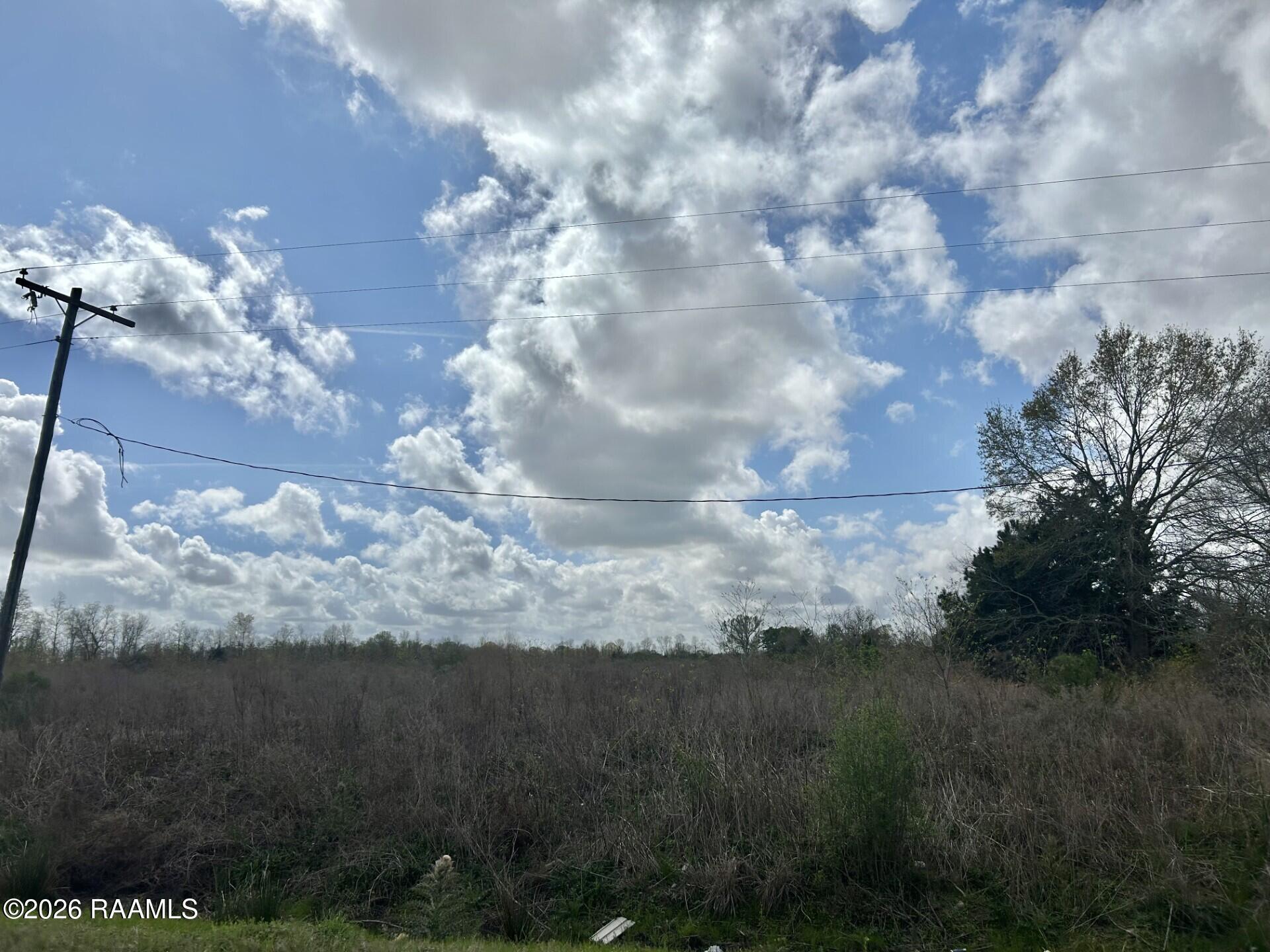 Tbd Pine Point Road Ville Platte, LA 70586 - Photo 2 of 6 9ea3ed1d-7f3d-43de-b65e-397a78d07dc0