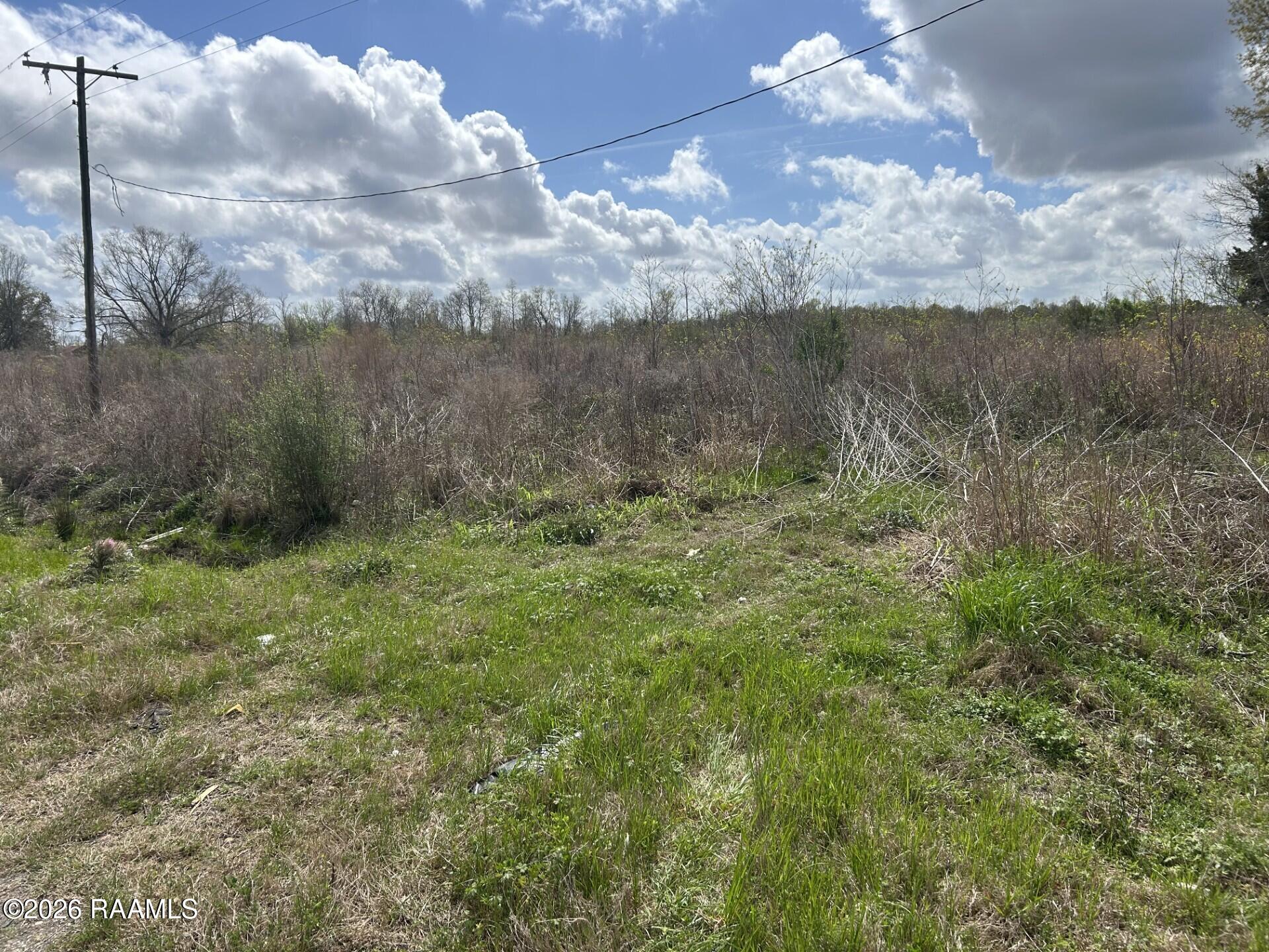 Tbd Pine Point Road Ville Platte, LA 70586 - Photo 3 of 6 48e33d8a-207a-4099-aaa4-1e135abd2183