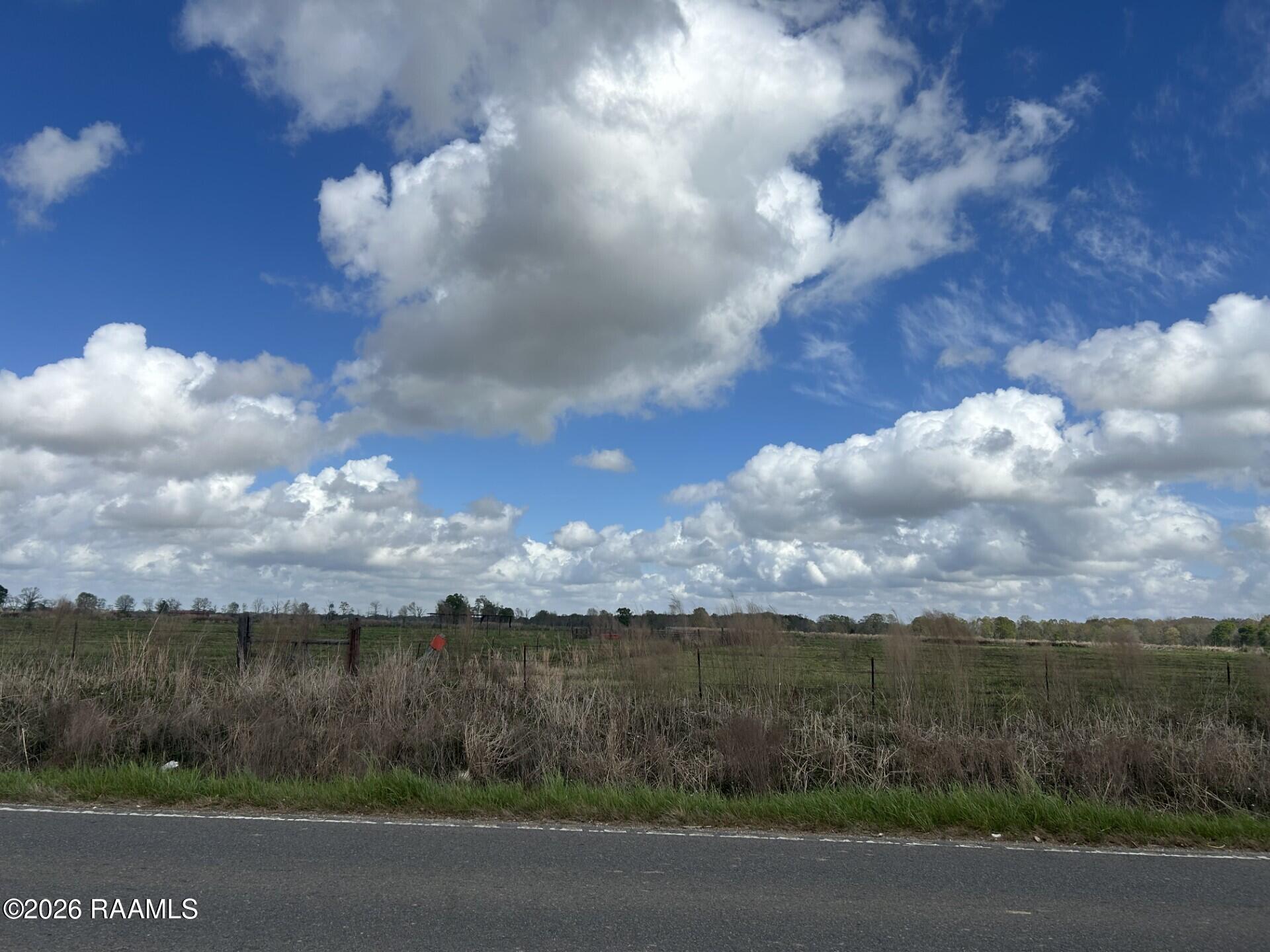 Tbd Pine Point Road Ville Platte, LA 70586 - Photo 4 of 6 58f2b5ff-2325-40eb-abf1-d74a77231932