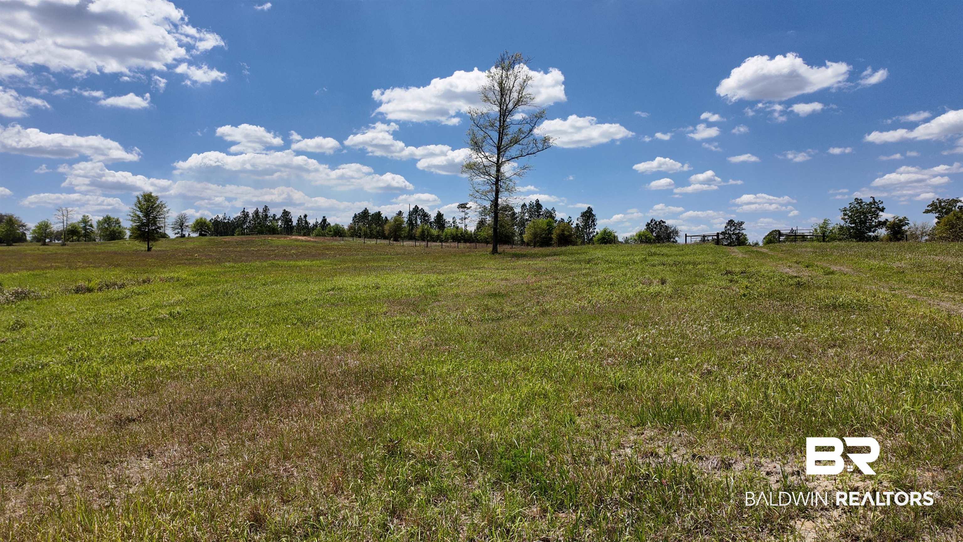 0 Powell Road Eight Mile, AL 36613 - Photo 18 of 57