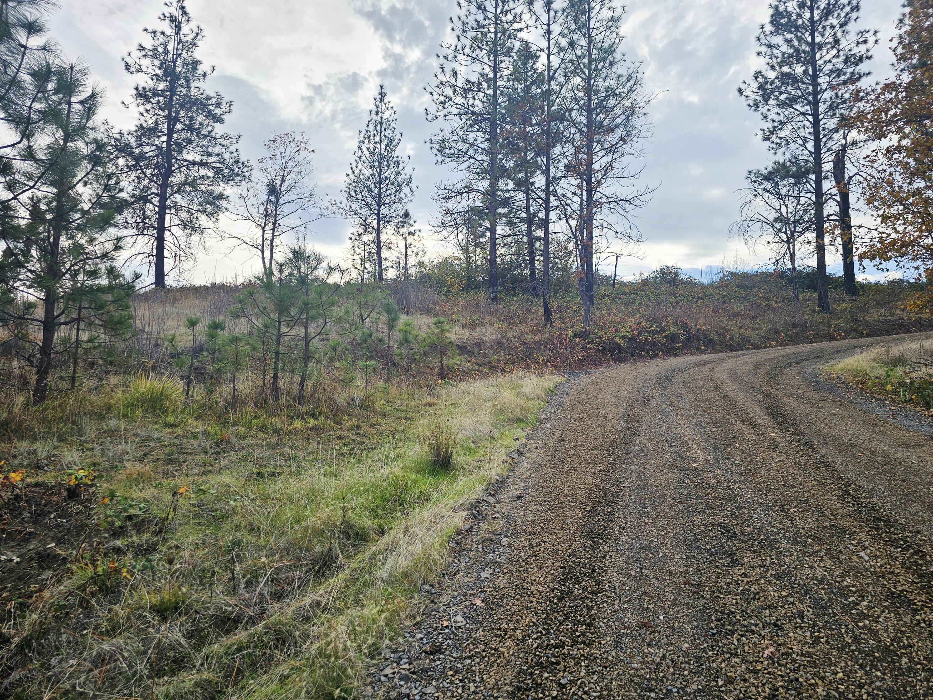 2162 Butte Falls Highway Eagle Point, OR 97524 - Photo 58 of 63 58