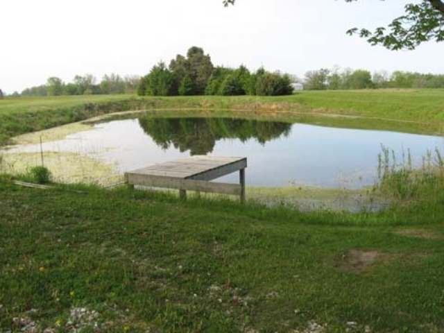 19516 West McDonald Road Trivoli, IL 61569 - Photo 2 of 2
