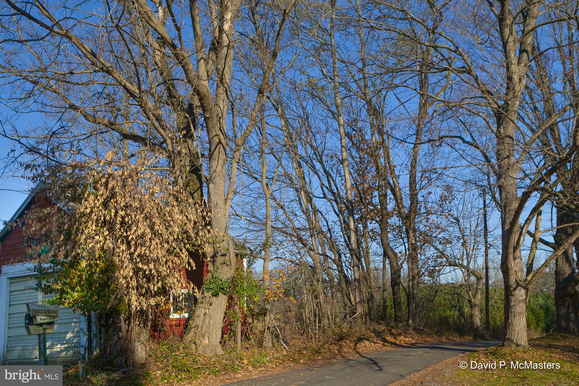 River Road Shepherdstown, WV 25443 - Photo 3 of 12 Lukens Circle lane. Land is to left.