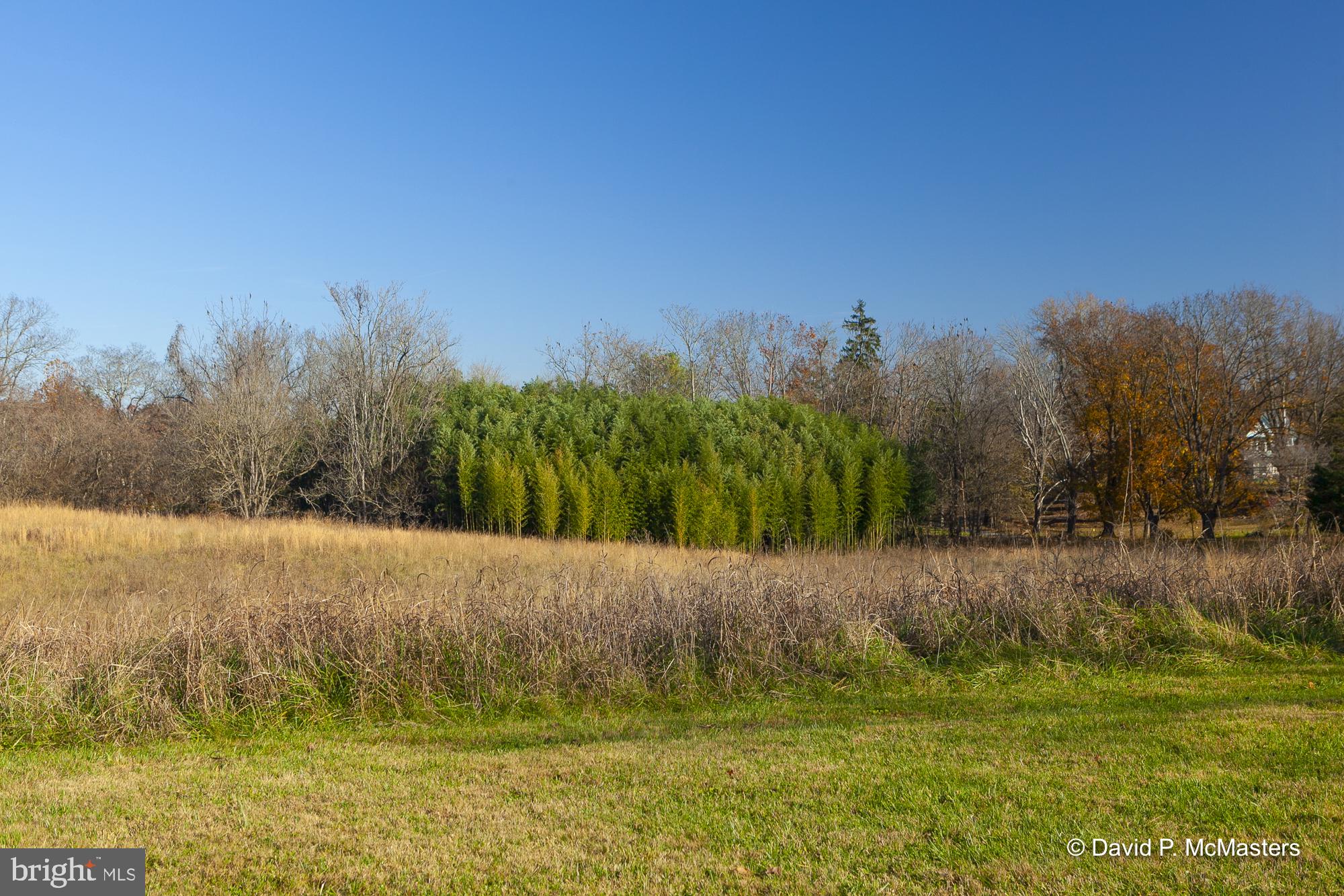 River Road Shepherdstown, WV 25443 - Photo 5 of 12 Pasture land