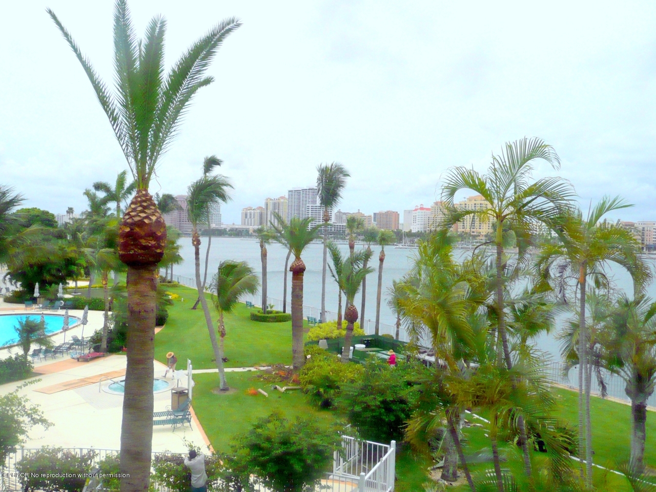 44 Cocoanut Row, Unit 214A Palm Beach, FL 33480 - Photo 11 of 13 a view of a flower in a garden