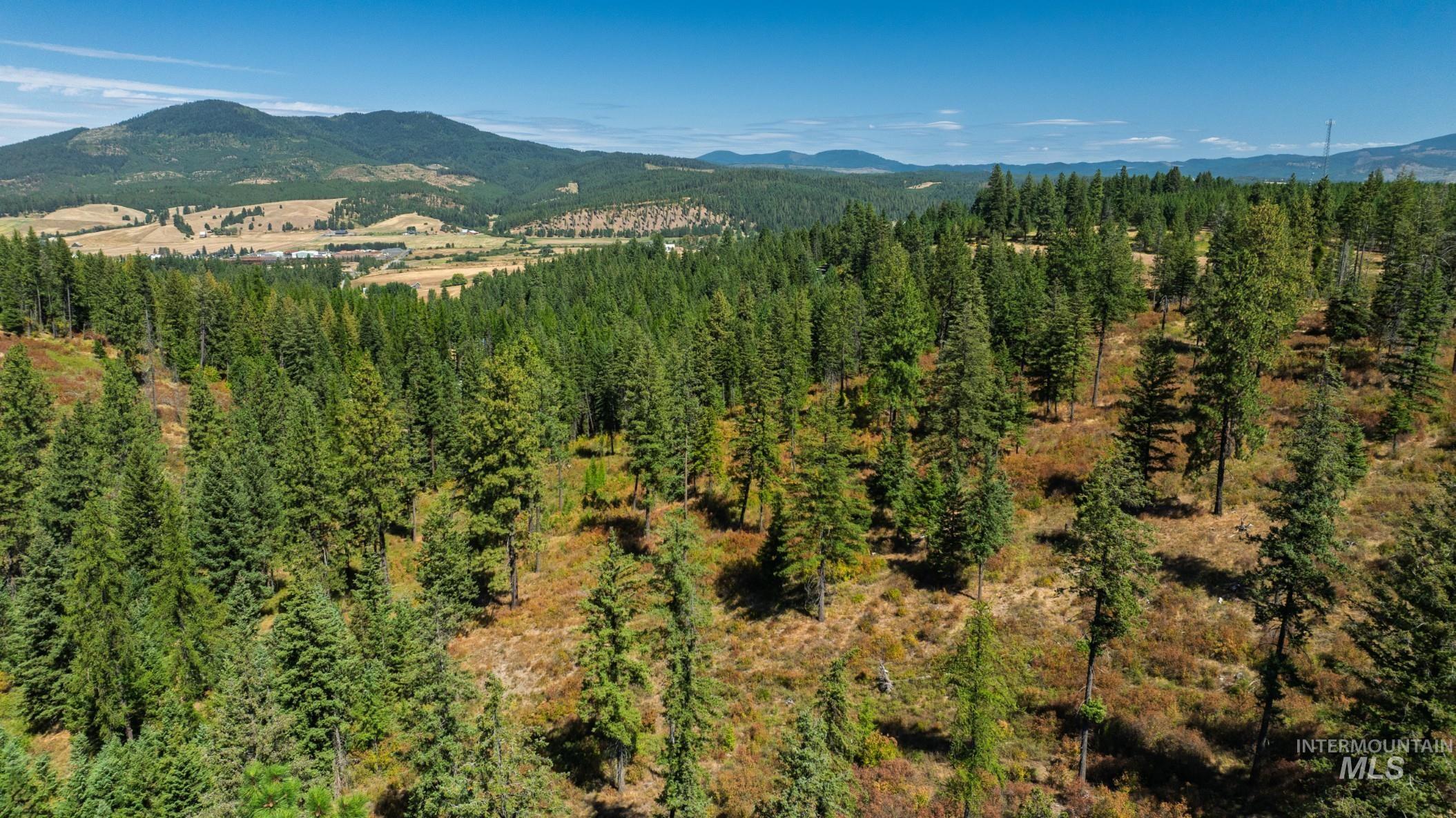 Nka O'reilly Road Princeton, ID 83857 - Photo 15 of 34