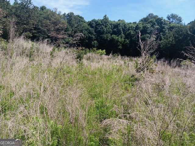 0 Pulliam Mill Road Dewy Rose, GA 30634 - Photo 12 of 13