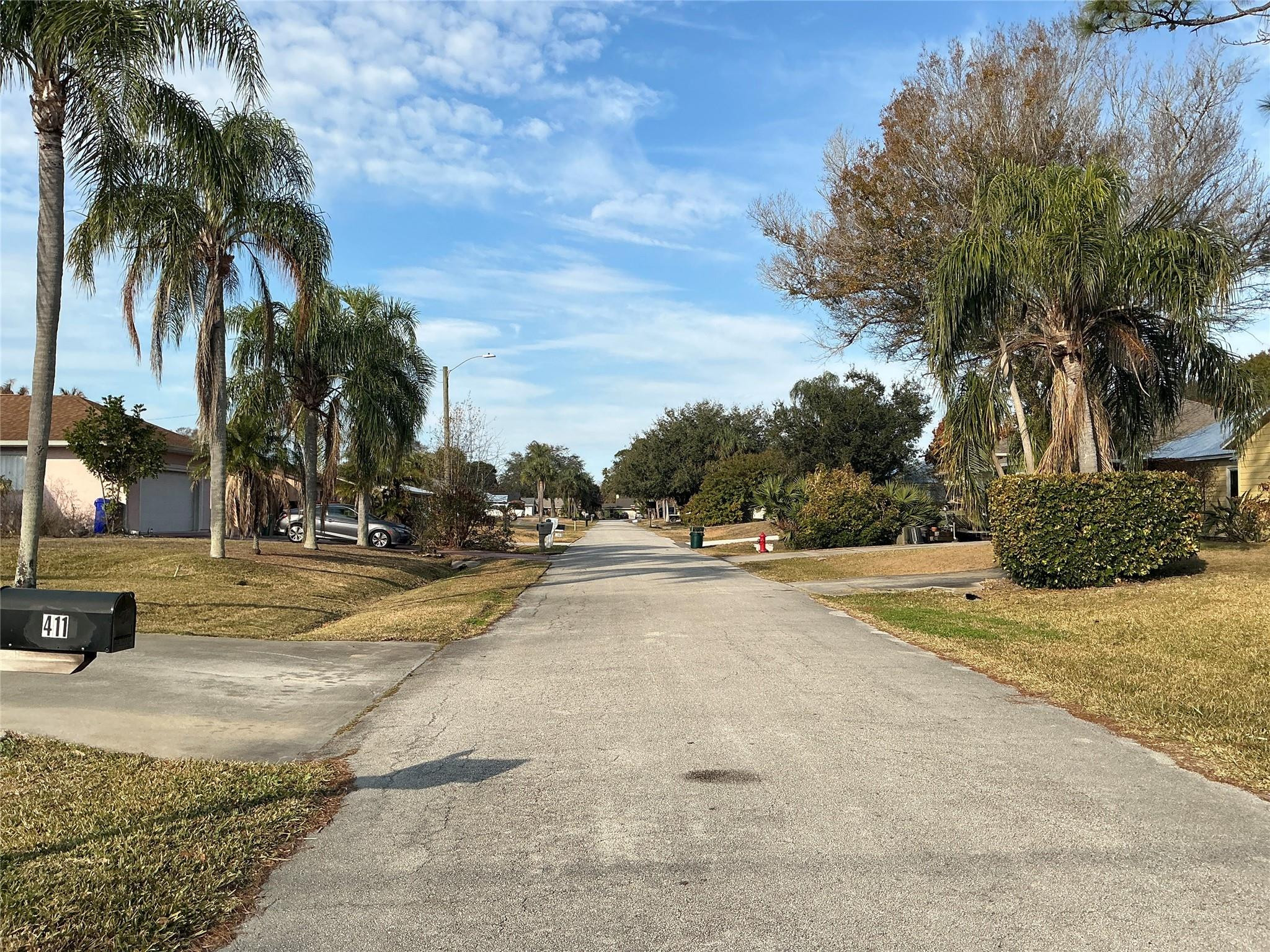 412 Southwest Mango Avenue Sebastian, FL 32958 - Photo 4 of 5 a view of a yard with palm trees