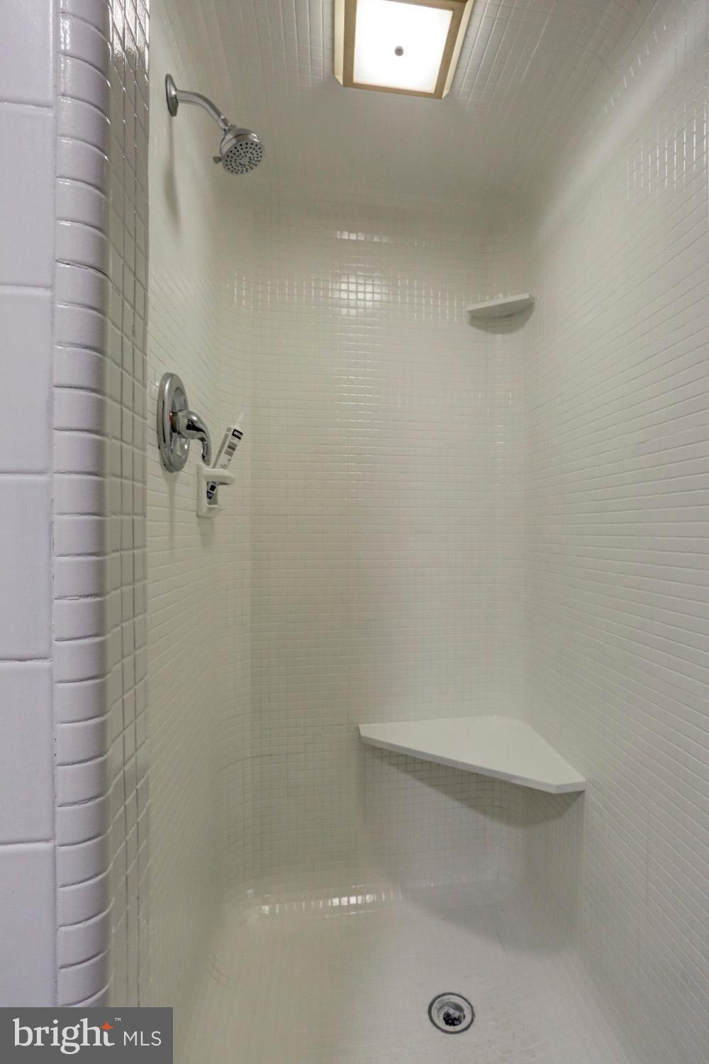 20 East Swartzville Road Denver, PA 17517 - Photo 36 of 43 2nd Full Bath Tile Shower