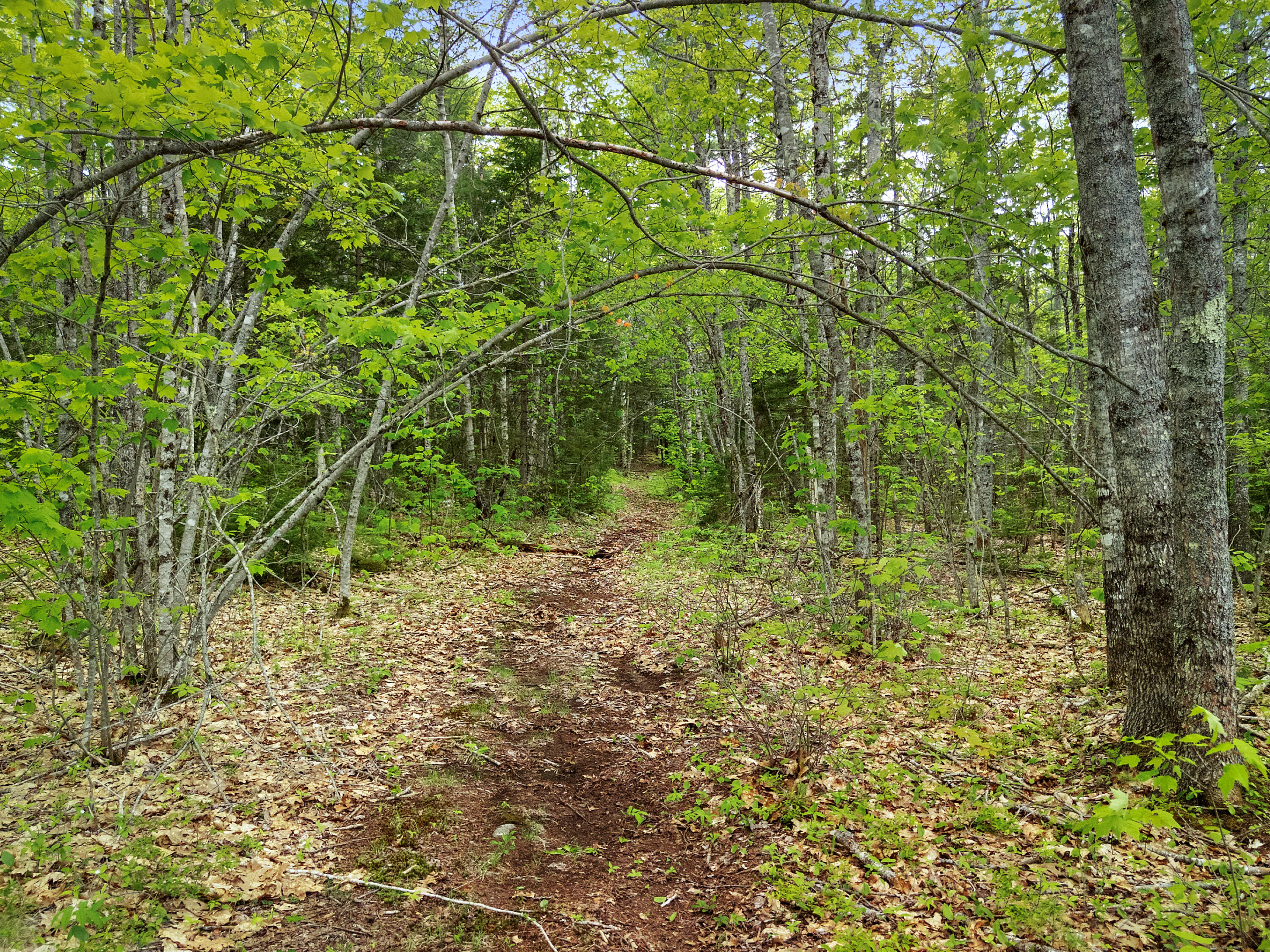 479 Niilo Hill Road Warren, ME 04864 - Photo 49 of 52 DJI_20260527130954_0960_D