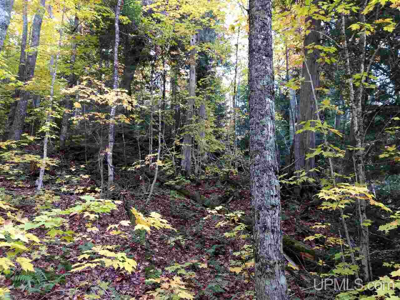 Tbd Peshekee Grade Road Skanee, MI 49962 - Photo 11 of 35