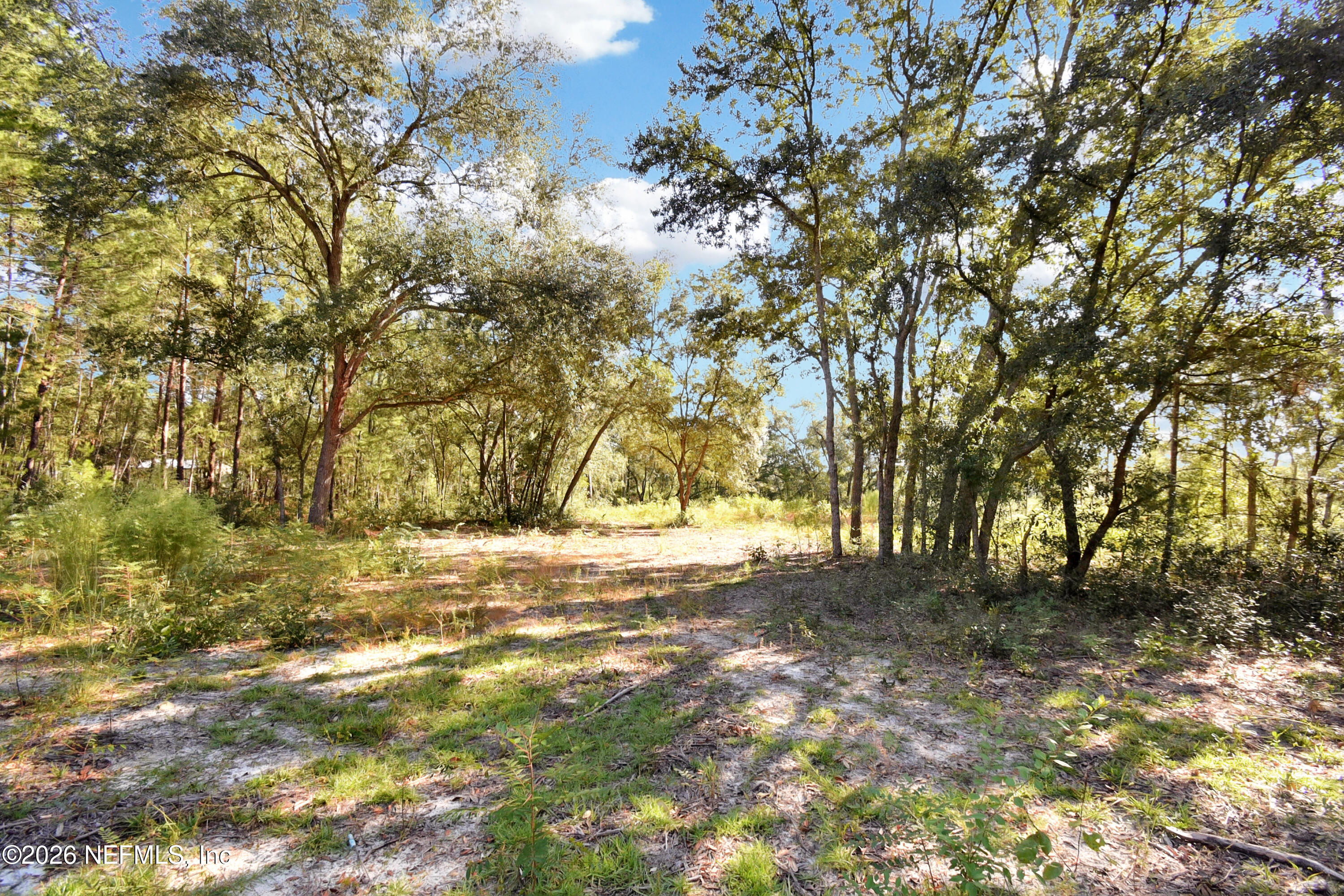 7455 Rye Court Keystone Heights, FL 32656 - Photo 3 of 6 DSC_4880