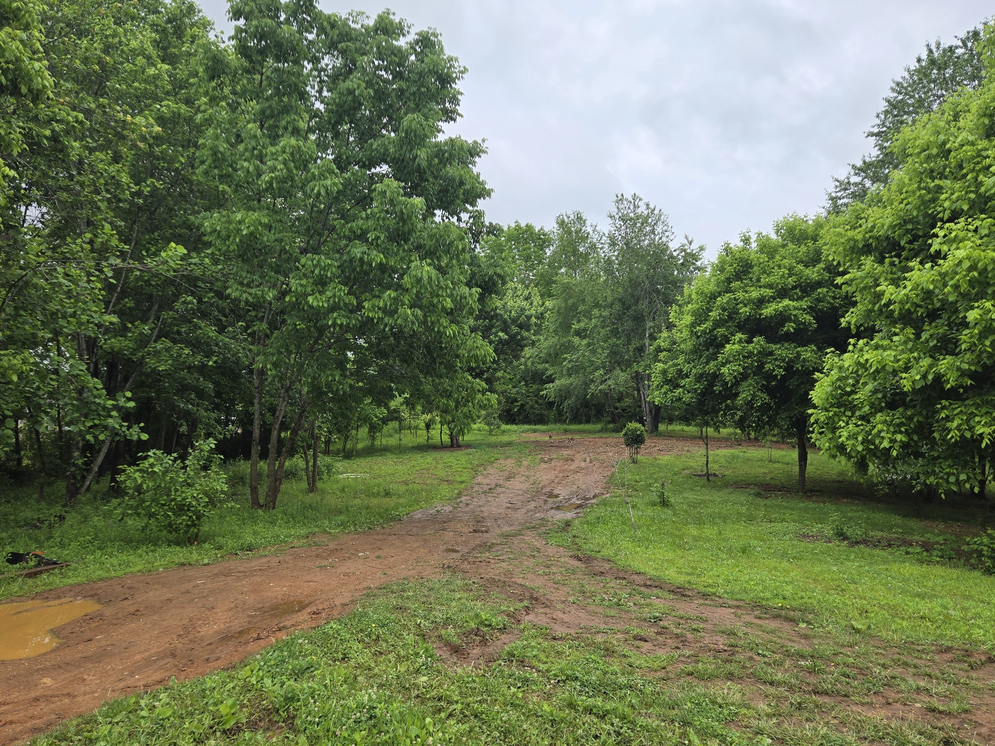 6241 Green Road Springfield, TN 37172 - Photo 1 of 5 a view of a park