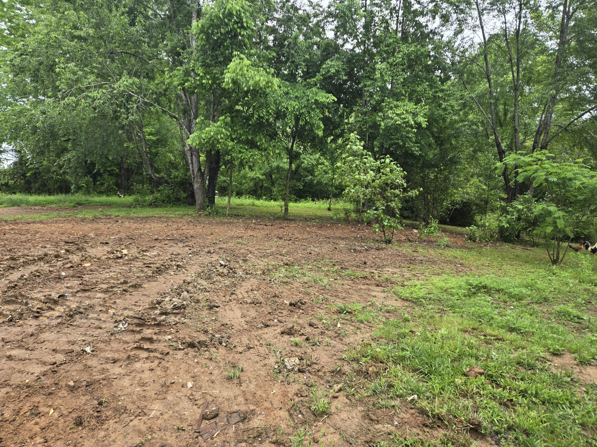 6241 Green Road Springfield, TN 37172 - Photo 3 of 5 a view of a field with trees in the background
