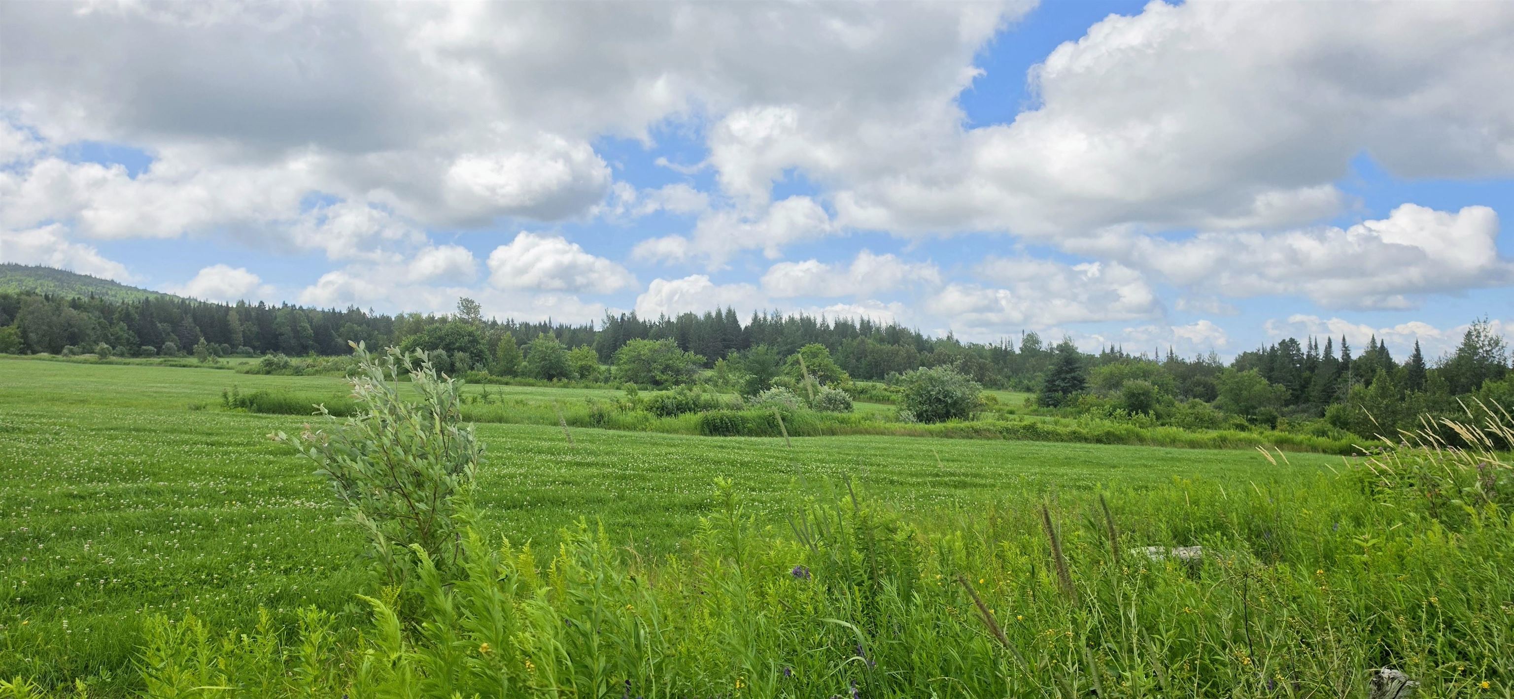 1888 Trucott Road Holland, VT 05830 - Photo 39 of 42