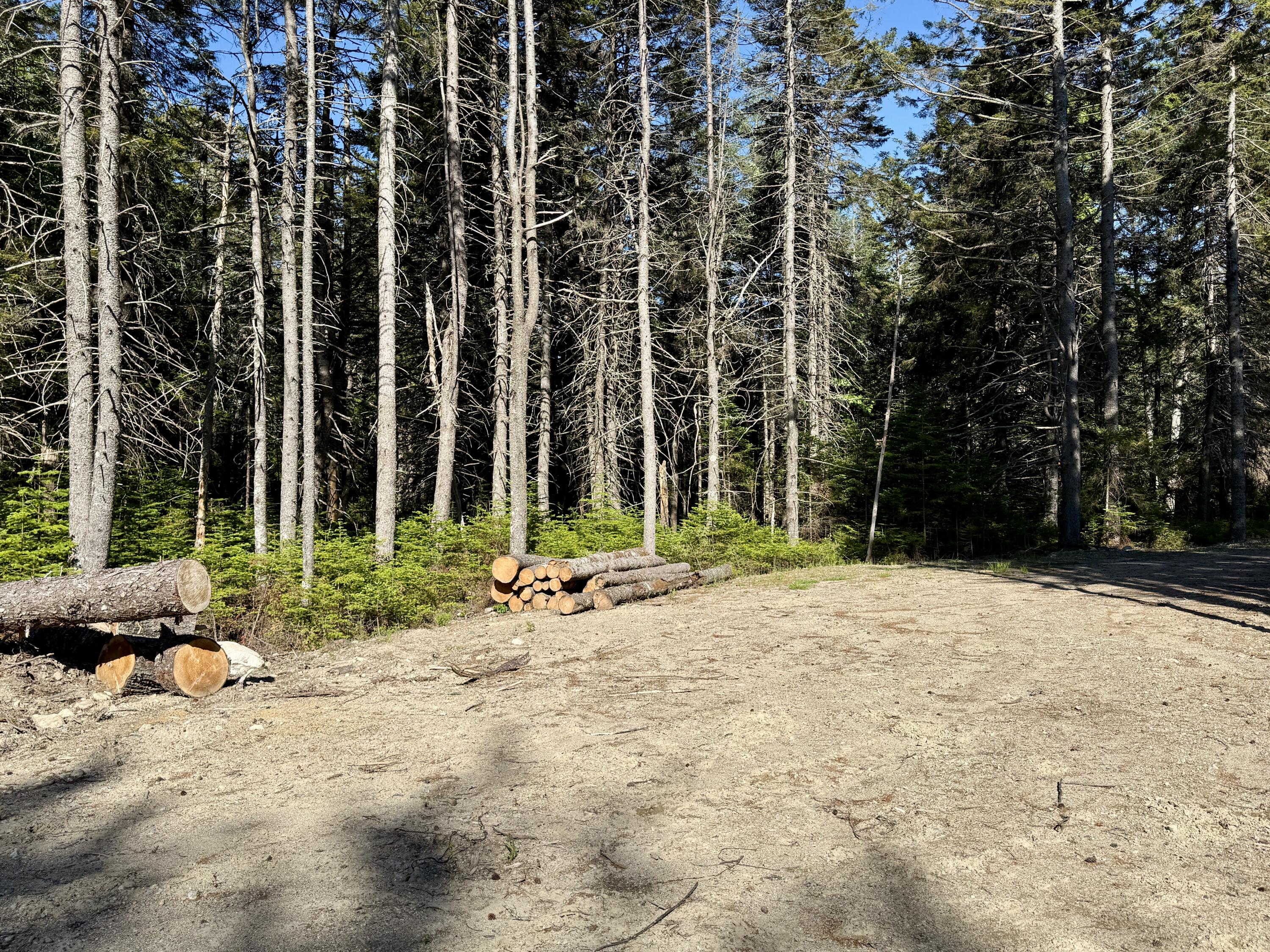 93 Goods Point Road, Unit LOT #2 Steuben, ME 04680 - Photo 4 of 15 IMG_3610
