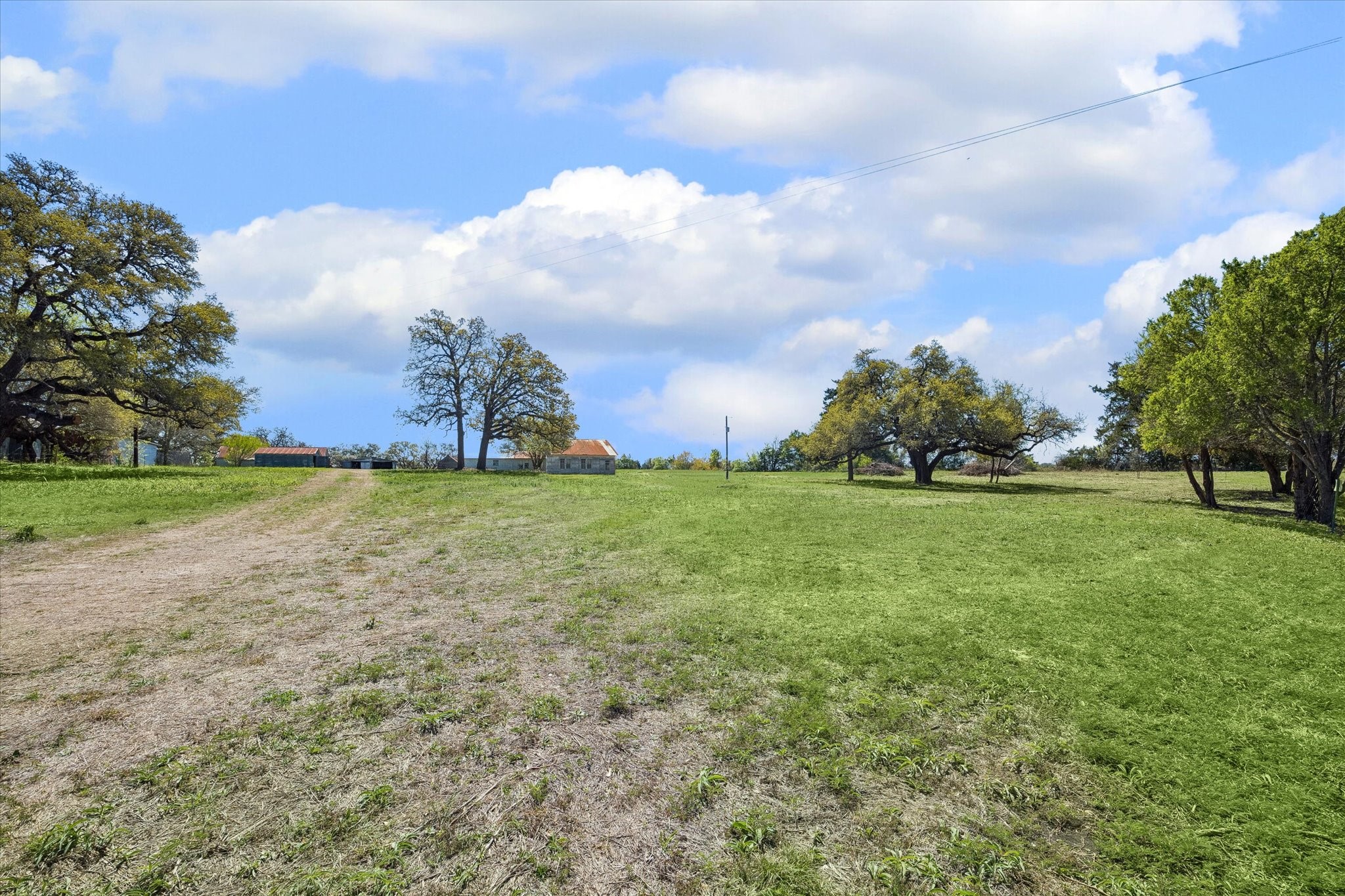 2121 Highway 237 Round Top, TX 78954 - Photo 5 of 8 a view of a green field with trees in the background