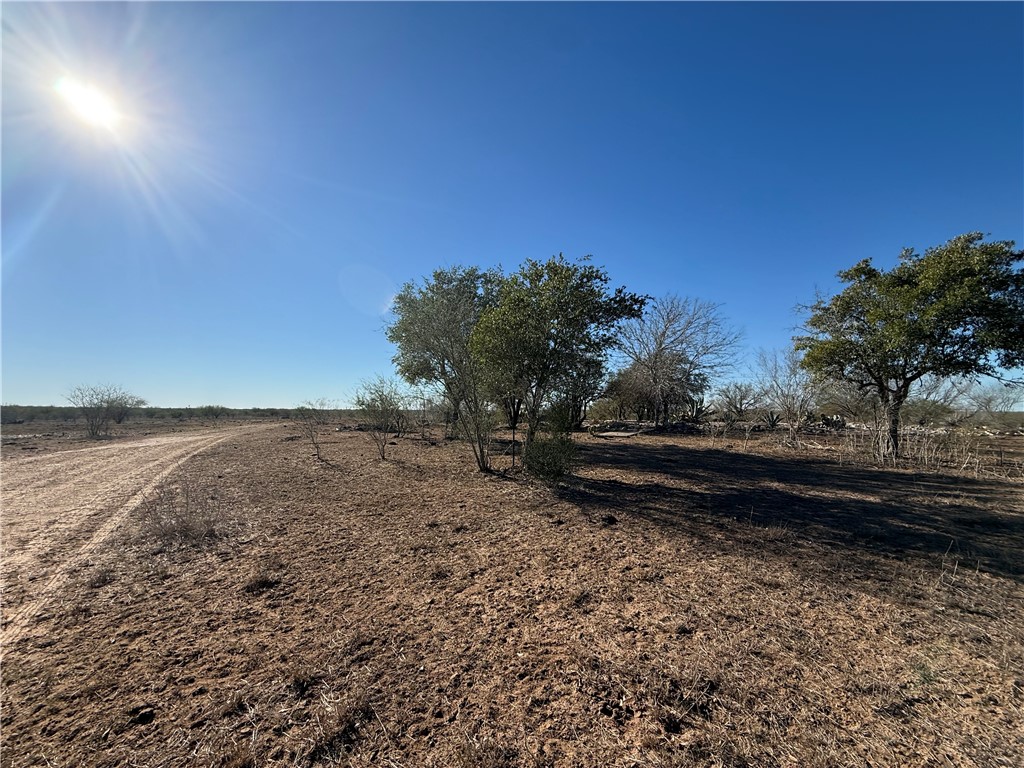 Tba County Road 440 Alice, TX 78332 - Photo 4 of 8 a view of a yard