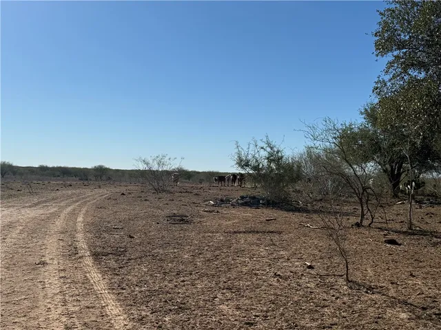 a view of a dry yard with trees in the background