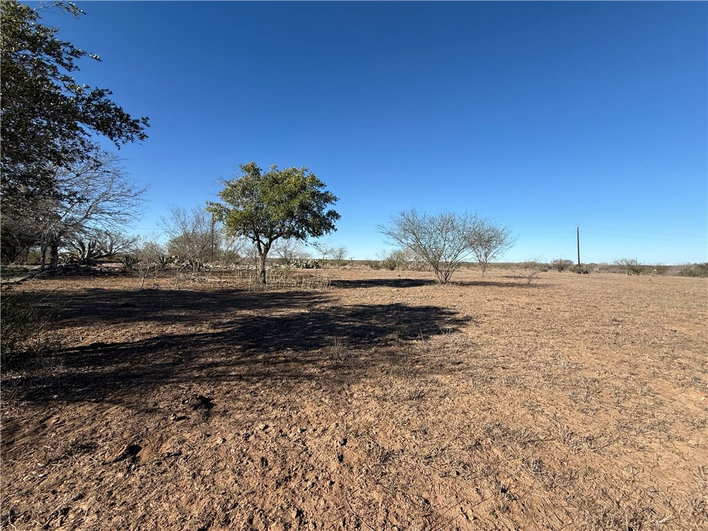 Tba County Road 440 Alice, TX 78332 - Photo 7 of 8 a view of a yard