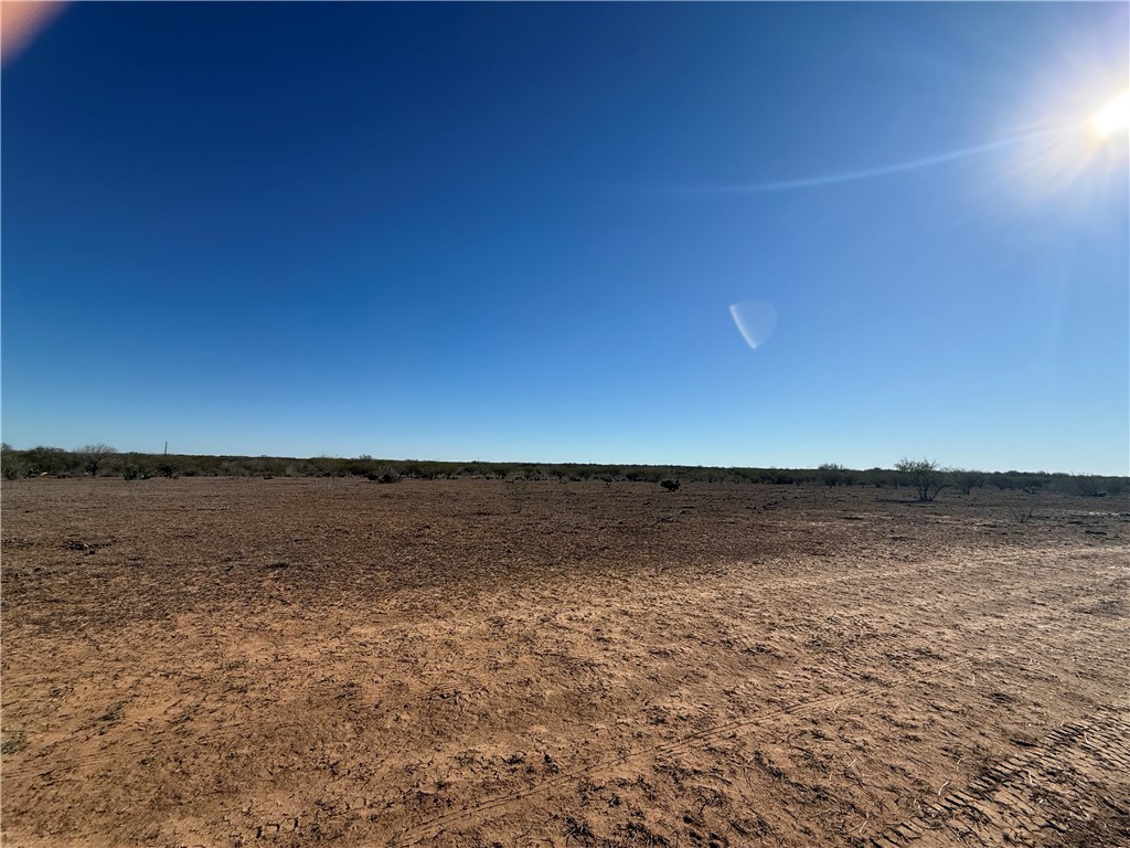 Tba County Road 440 Alice, TX 78332 - Photo 8 of 8