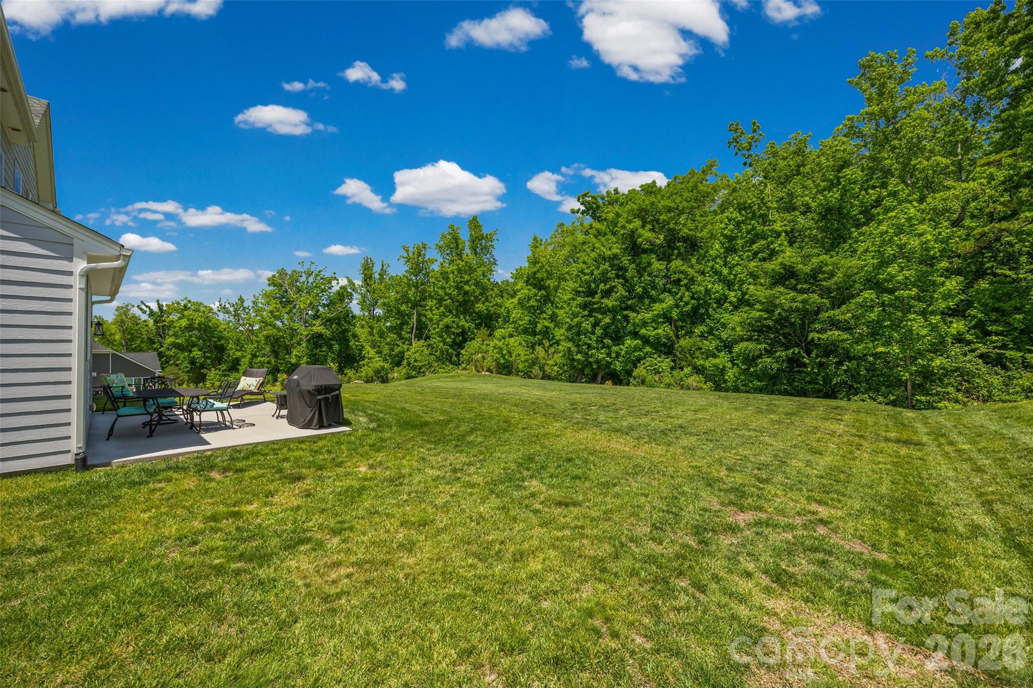 323 Forsythia Lane Tega Cay, SC 29708 - Photo 34 of 47